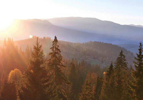 beautiful-autumn-morning-view-point-deep-forest-valley-carpathians-ukraine-europe